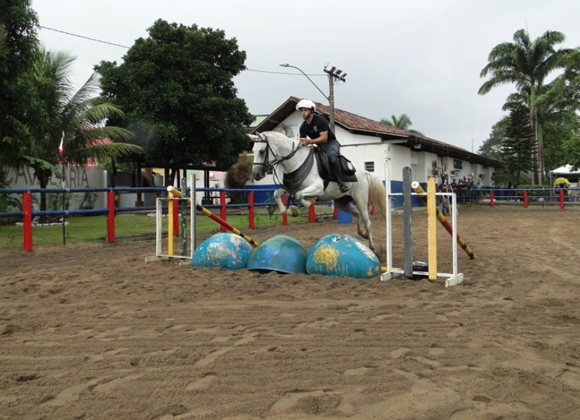 DSC05085