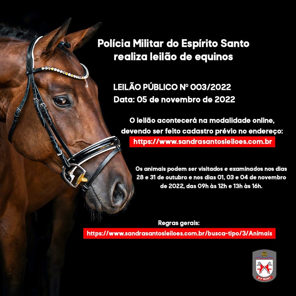 Leilão equino