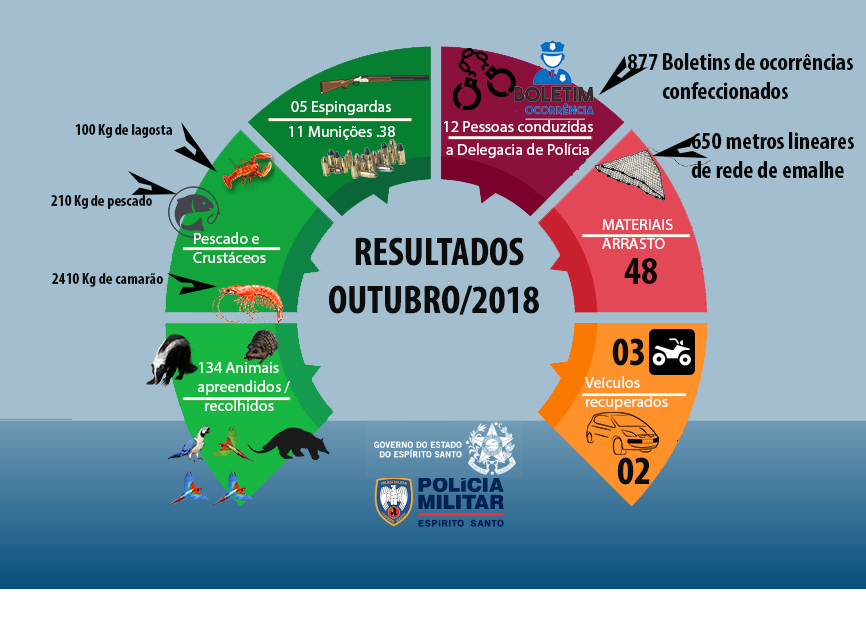 materia13mes112018