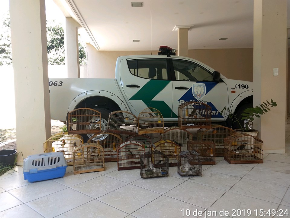 materia30mes012019_