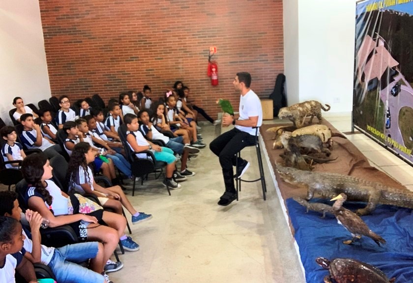 materia31mes052019