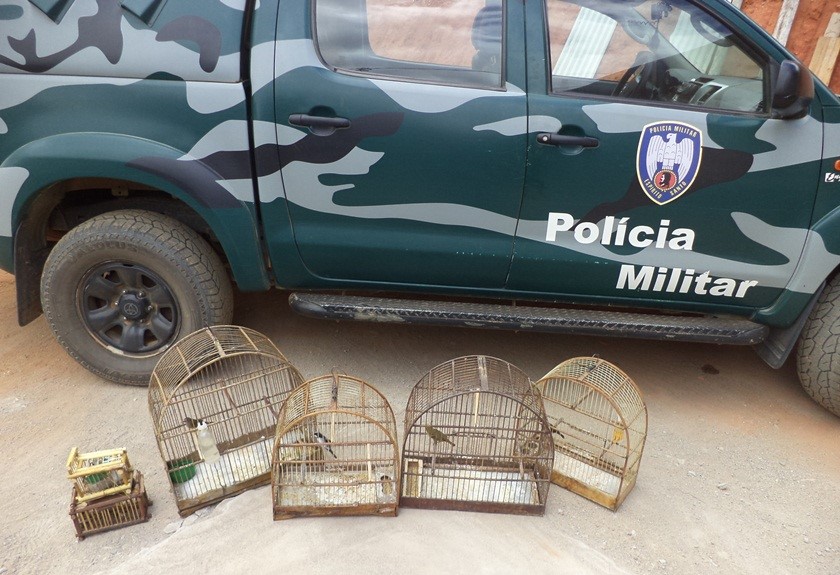 materia49mes012019