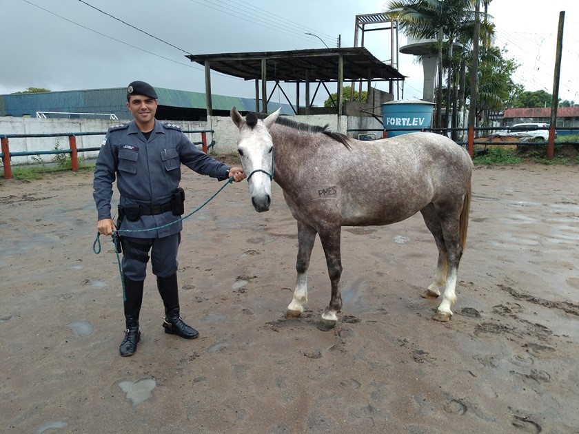 materia49mes1120181