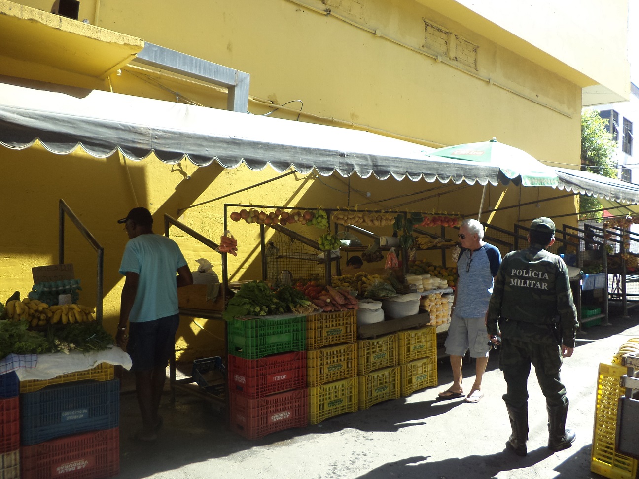 fiscalização palmito 2