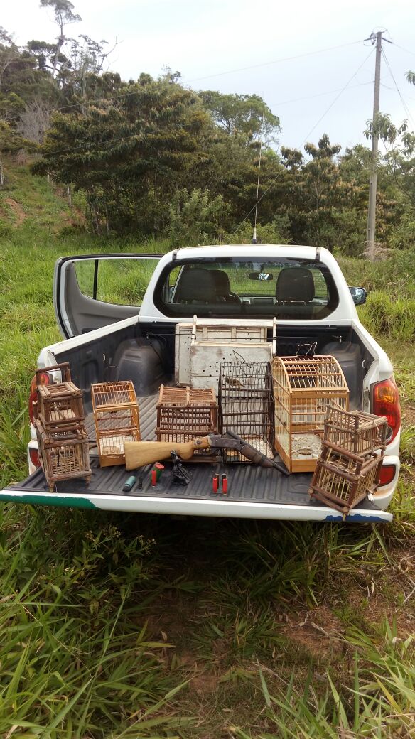 Arma e pássaros apreendidos