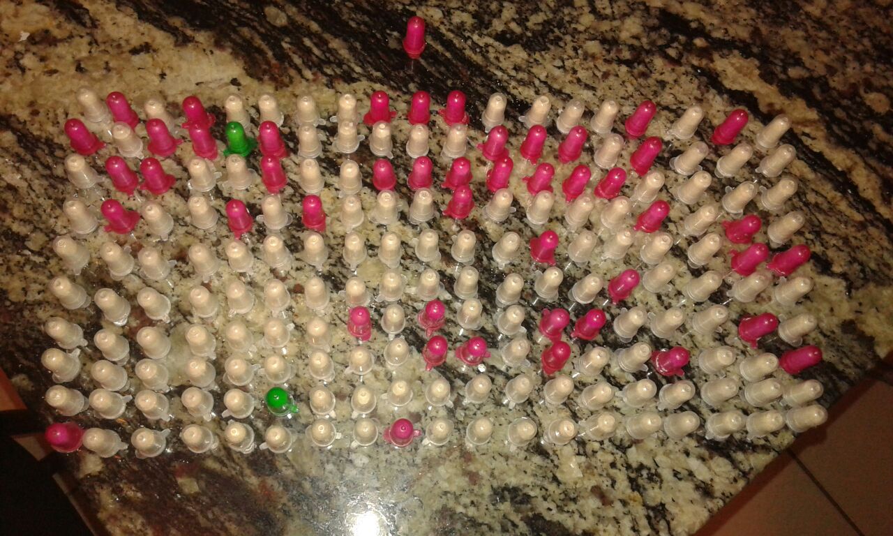 cariacica