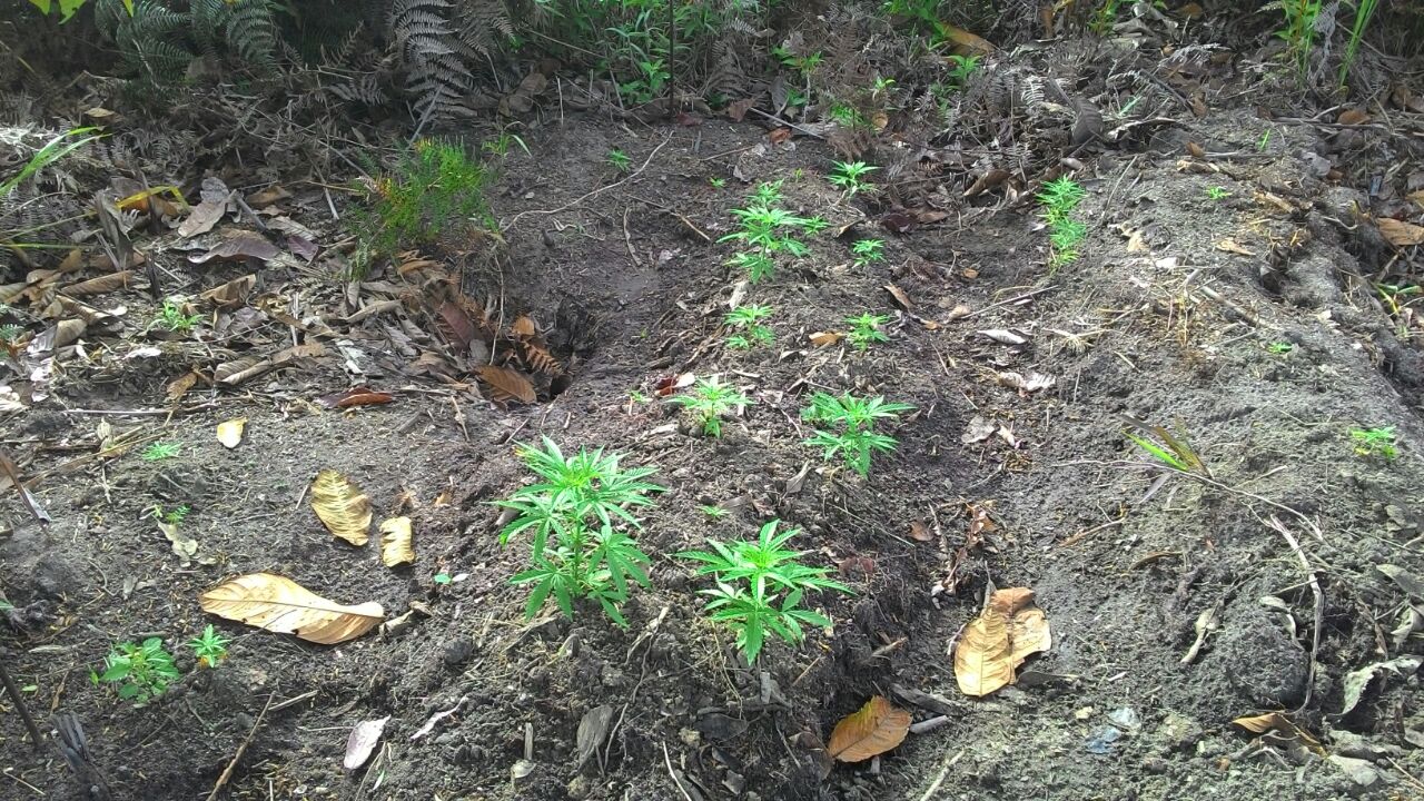 IMG-20161118-WA0068 (1)