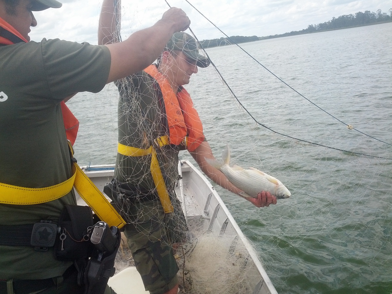 rede de pesca - Linhares. 18 (4)