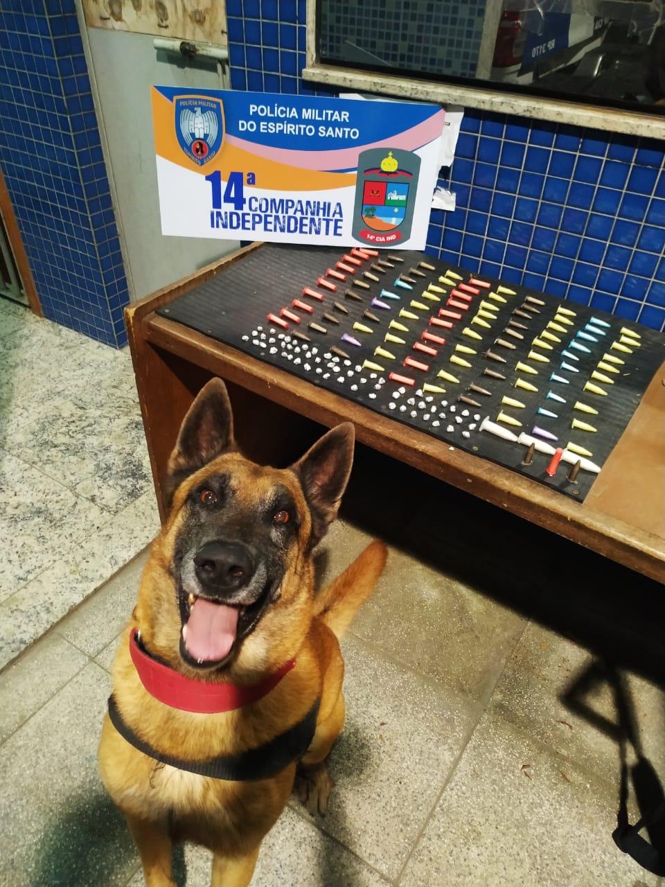 Apreensão de entorpecentes dia 18 de setembro de 2019