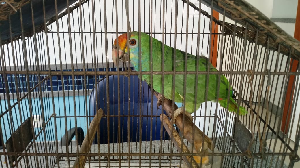 IMG-20190704-WA0018