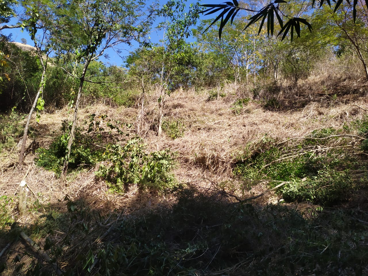IMG-20190731-WA0062