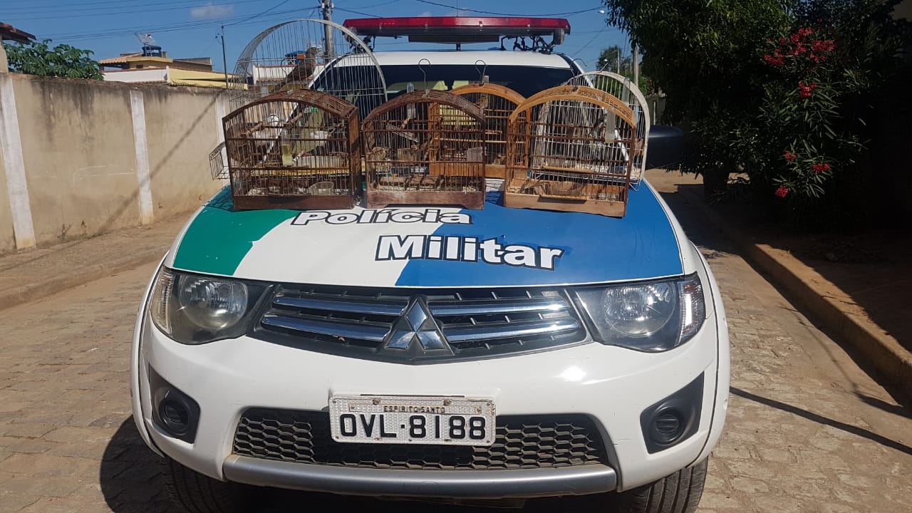 PÁSSAROS EM CATIVEIRO 3