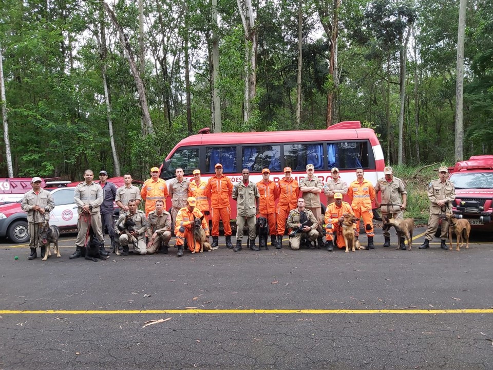 Corpo de Bombeiros Militar inicia novo curso de salvamento com cães de resgate