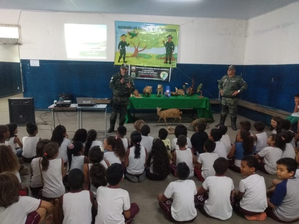 materia80mes112019
